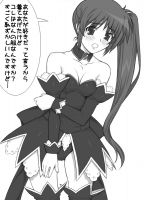 mahou_shoujo_lyrical_nanoha_-_lanyok_00601.jpg